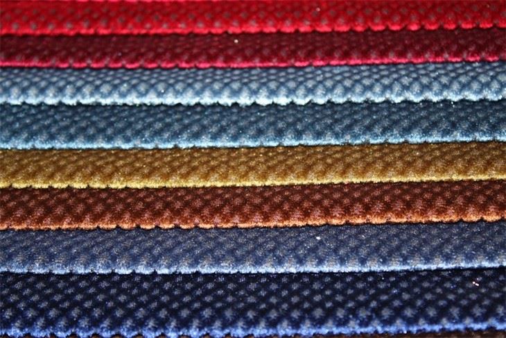 IMG_0196